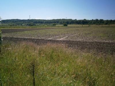 Купува земя във Владимирово, община Тополовград Купува земя във Владимирово, община Тополовград