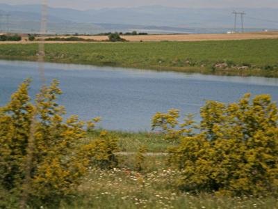 Фирма купува земя в село Езеро Фирма купува земя в село Езеро