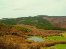 Купува земеделска земя в Житница, Черноочене