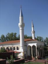 Купува земеделска земя в Момчилград