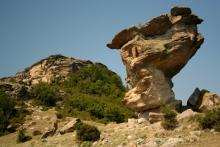 Купува земеделска земя в Женда