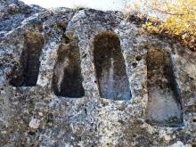 Купува земеделска земя в Неофит Бозвелиево