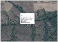 Продава нива 6,001дка в Паницово