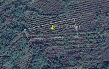 Продава овощна градина в Сухиндол