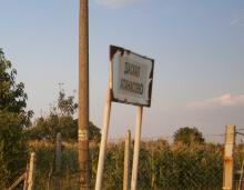 Купува ниви в Даскал Атанасово