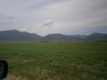 Купува земя в Голямо Дряново, община Казанлък Купува земя в Голямо Дряново, община Казанлък