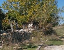 Черна могила община Харманли