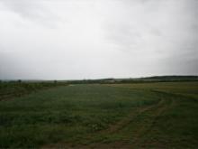 Землище община Братя Даскалови