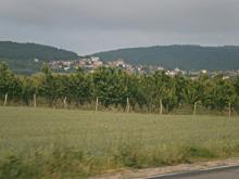 Ниви, лозя, овощни градини, ливади и пасища в Богомилово  общ. Стара Загора 