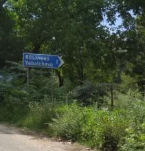 Купува земеделска земя в Ябълчево