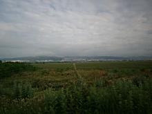 Купувам  ниви, лозя, овощни градини в  град Стара Загора