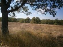 Земеделска земя в село Варовник, община Средец - Странджа планина